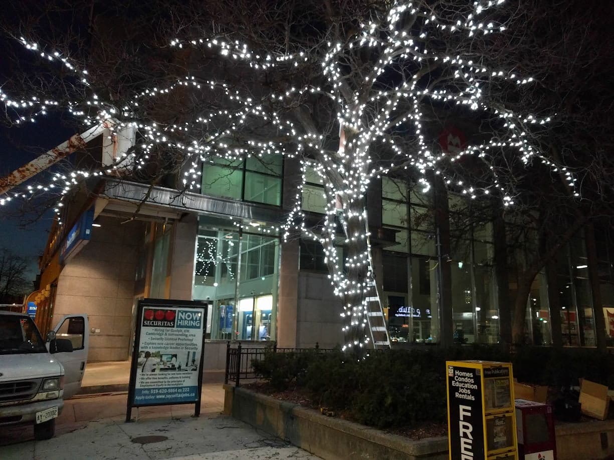 Professional commercial Christmas lighting on a Guelph business by Classic Christmas Lighting