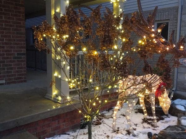 Christmas light rental installation for a BIA or municipality in Southern Ontario by Classic Christmas Lighting